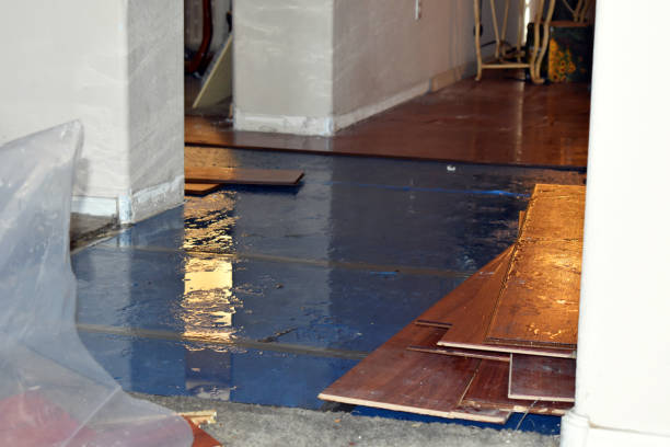Professional Sewage Cleanup technician working in Twin Lakes, WI